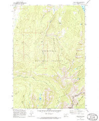 Carpp Ridge Montana Historical topographic map, 1:24000 scale, 7.5 X 7.5 Minute, Year 1971