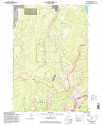 Carpp Ridge Montana Historical topographic map, 1:24000 scale, 7.5 X 7.5 Minute, Year 1996