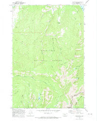 Carpp Ridge Montana Historical topographic map, 1:24000 scale, 7.5 X 7.5 Minute, Year 1971