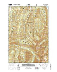 Carpp Ridge Montana Current topographic map, 1:24000 scale, 7.5 X 7.5 Minute, Year 2014