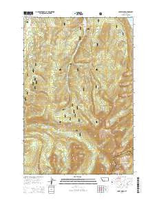 Carpp Ridge Montana Current topographic map, 1:24000 scale, 7.5 X 7.5 Minute, Year 2014