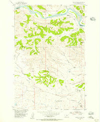 Carter Coulee Montana Historical topographic map, 1:24000 scale, 7.5 X 7.5 Minute, Year 1954
