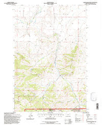 Carter Mountain Montana Historical topographic map, 1:24000 scale, 7.5 X 7.5 Minute, Year 1995