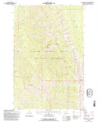 Cathedral Peak Montana Historical topographic map, 1:24000 scale, 7.5 X 7.5 Minute, Year 1994
