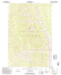 Cathedral Peak Montana Historical topographic map, 1:24000 scale, 7.5 X 7.5 Minute, Year 1994