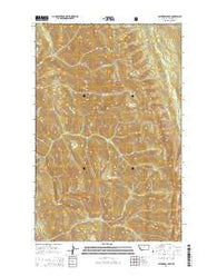 Cathedral Peak Montana Current topographic map, 1:24000 scale, 7.5 X 7.5 Minute, Year 2014