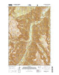Cathedral Point Montana Current topographic map, 1:24000 scale, 7.5 X 7.5 Minute, Year 2014