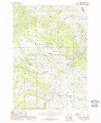 Cattle Gulch Montana Historical topographic map, 1:24000 scale, 7.5 X 7.5 Minute, Year 1988