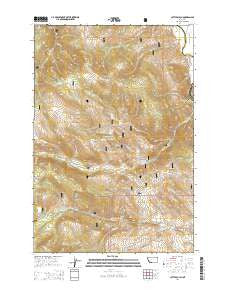 Cattle Gulch Montana Current topographic map, 1:24000 scale, 7.5 X 7.5 Minute, Year 2014