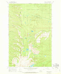 Cedar Lake Montana Historical topographic map, 1:24000 scale, 7.5 X 7.5 Minute, Year 1965
