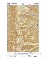 Cedar Lake Montana Current topographic map, 1:24000 scale, 7.5 X 7.5 Minute, Year 2014
