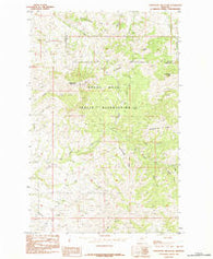 Centennial Mountain Montana Historical topographic map, 1:24000 scale, 7.5 X 7.5 Minute, Year 1984