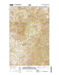 Centennial Mountain Montana Current topographic map, 1:24000 scale, 7.5 X 7.5 Minute, Year 2014