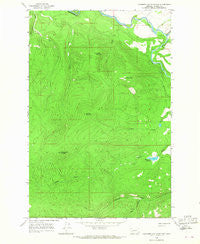 Chamberlain Mountain Montana Historical topographic map, 1:24000 scale, 7.5 X 7.5 Minute, Year 1965