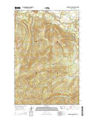 Chamberlain Mountain Montana Current topographic map, 1:24000 scale, 7.5 X 7.5 Minute, Year 2014