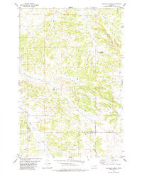 Chandler Spring Montana Historical topographic map, 1:24000 scale, 7.5 X 7.5 Minute, Year 1980