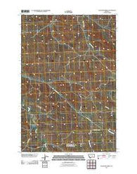 Chandler Spring Montana Historical topographic map, 1:24000 scale, 7.5 X 7.5 Minute, Year 2011