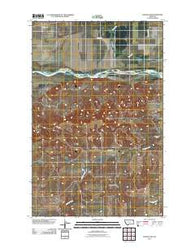 Chelsea SW Montana Historical topographic map, 1:24000 scale, 7.5 X 7.5 Minute, Year 2011