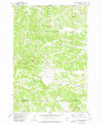 Cherry Spring Montana Historical topographic map, 1:24000 scale, 7.5 X 7.5 Minute, Year 1980