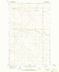 Chester NE Montana Historical topographic map, 1:24000 scale, 7.5 X 7.5 Minute, Year 1963