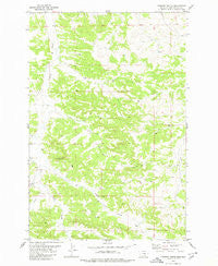 Chimney Butte Montana Historical topographic map, 1:24000 scale, 7.5 X 7.5 Minute, Year 1979