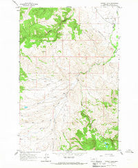 Chimney Lakes Montana Historical topographic map, 1:24000 scale, 7.5 X 7.5 Minute, Year 1965