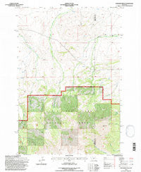 Cinnamon Peak Montana Historical topographic map, 1:24000 scale, 7.5 X 7.5 Minute, Year 1995