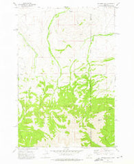 Cinnamon Peak Montana Historical topographic map, 1:24000 scale, 7.5 X 7.5 Minute, Year 1972