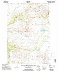 Cinnamon Spring Montana Historical topographic map, 1:24000 scale, 7.5 X 7.5 Minute, Year 1995