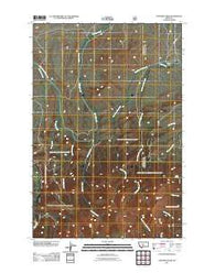 Cinnamon Peak Montana Historical topographic map, 1:24000 scale, 7.5 X 7.5 Minute, Year 2011