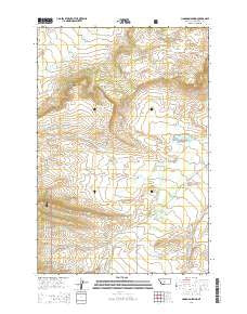 Cinnamon Spring Montana Current topographic map, 1:24000 scale, 7.5 X 7.5 Minute, Year 2014