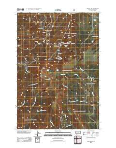 Cirque Lake Montana Historical topographic map, 1:24000 scale, 7.5 X 7.5 Minute, Year 2011
