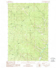 Cleveland Mountain Montana Historical topographic map, 1:24000 scale, 7.5 X 7.5 Minute, Year 1989