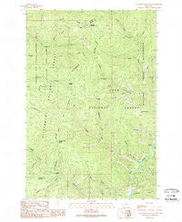 Cleveland Mountain Montana Historical topographic map, 1:24000 scale, 7.5 X 7.5 Minute, Year 1989