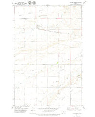 Coffee Creek Montana Historical topographic map, 1:24000 scale, 7.5 X 7.5 Minute, Year 1979