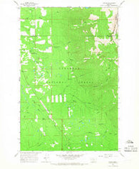 Condon Montana Historical topographic map, 1:24000 scale, 7.5 X 7.5 Minute, Year 1965