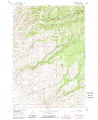 Copper Mountain Montana Historical topographic map, 1:24000 scale, 7.5 X 7.5 Minute, Year 1963
