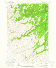 Copper Mountain Montana Historical topographic map, 1:24000 scale, 7.5 X 7.5 Minute, Year 1963