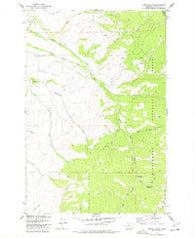 Corley Gulch Montana Historical topographic map, 1:24000 scale, 7.5 X 7.5 Minute, Year 1977