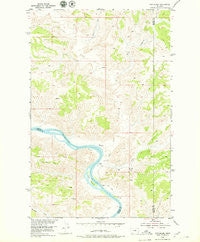 Cow Island Montana Historical topographic map, 1:24000 scale, 7.5 X 7.5 Minute, Year 1954