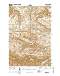 Cow Face Hill Montana Current topographic map, 1:24000 scale, 7.5 X 7.5 Minute, Year 2014