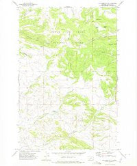 Coxcombe Butte Montana Historical topographic map, 1:24000 scale, 7.5 X 7.5 Minute, Year 1971