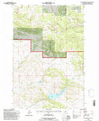 Coxcombe Butte Montana Historical topographic map, 1:24000 scale, 7.5 X 7.5 Minute, Year 1995