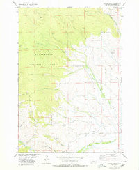 Coyote Creek Montana Historical topographic map, 1:24000 scale, 7.5 X 7.5 Minute, Year 1978