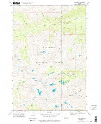 Crazy Peak Montana Historical topographic map, 1:24000 scale, 7.5 X 7.5 Minute, Year 1972