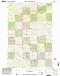 Crazy Peak Montana Historical topographic map, 1:24000 scale, 7.5 X 7.5 Minute, Year 2000