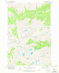 Crazy Peak Montana Historical topographic map, 1:24000 scale, 7.5 X 7.5 Minute, Year 1972