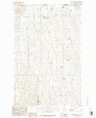 Crow Creek Dam Montana Historical topographic map, 1:24000 scale, 7.5 X 7.5 Minute, Year 1984