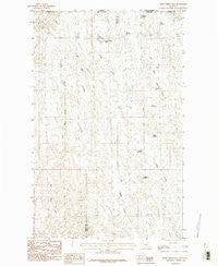 Crow Creek Dam Montana Historical topographic map, 1:24000 scale, 7.5 X 7.5 Minute, Year 1984