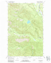 Cyclone Lake Montana Historical topographic map, 1:24000 scale, 7.5 X 7.5 Minute, Year 1966